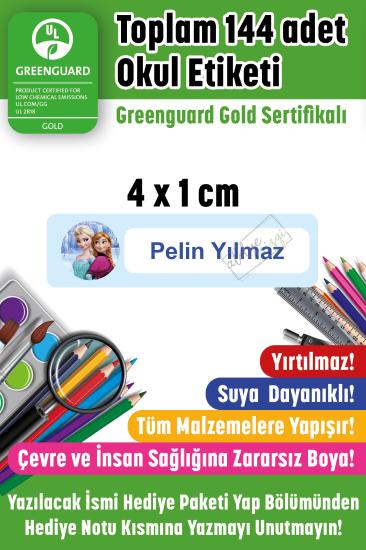 Okul Etiketi Elsa ve Anna Kalem Etiketi İsme Özel 144 Adet