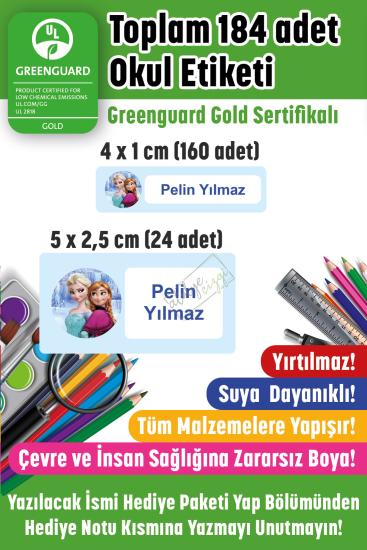 Okul Etiketi Elsa ve Anna Kalem Defter Etiketi İsme Özel 184 Adet